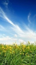 Plants, Landscape, Grass, Sky for Sony Ericsson C902