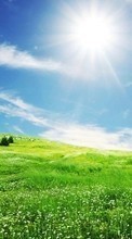 New mobile wallpapers - free download. Landscape, Grass, Sky, Sun picture and image for mobile phones.