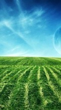 New 1080x1920 mobile wallpapers Landscape, Grass, Sky free download.