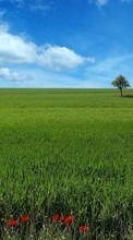 New mobile wallpapers - free download. Landscape, Grass, Sky picture and image for mobile phones.