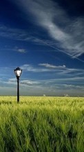 New 128x160 mobile wallpapers Landscape, Grass, Sky free download.