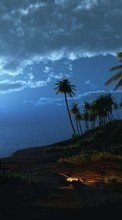 New 720x1280 mobile wallpapers Landscape, Night, Palms free download.