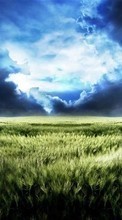 New mobile wallpapers - free download. Clouds, Landscape, Fields picture and image for mobile phones.
