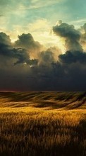 New mobile wallpapers - free download. Clouds,Landscape,Fields picture and image for mobile phones.