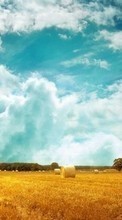 New mobile wallpapers - free download. Clouds,Landscape,Fields picture and image for mobile phones.