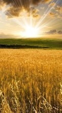 New mobile wallpapers - free download. Clouds, Landscape, Fields, Sun picture and image for mobile phones.
