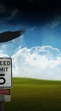Animals, Birds, Eagles for Motorola Moto One 5G