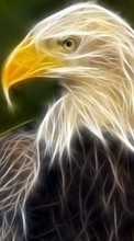 New mobile wallpapers - free download. Animals, Drawings, Eagles picture and image for mobile phones.