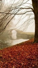 New mobile wallpapers - free download. Autumn,Landscape,Nature picture and image for mobile phones.