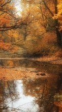 Autumn,Landscape,Nature for Asus ZenPad 7.0 Z370C