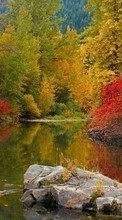 New mobile wallpapers - free download. Autumn,Landscape,Rivers picture and image for mobile phones.