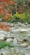 New mobile wallpapers - free download. Autumn,Landscape,Rivers picture and image for mobile phones.