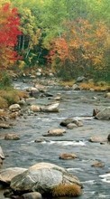 Autumn,Landscape,Rivers for Motorola RAZR XT910