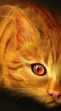New mobile wallpapers - free download. Cats,Pictures,Animals picture and image for mobile phones.