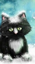 New mobile wallpapers - free download. Cats,Pictures,Animals picture and image for mobile phones.