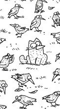 New mobile wallpapers - free download. Simon&#039;s Cat, Pictures, Humor picture and image for mobile phones.