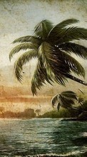New mobile wallpapers - free download. Palms,Landscape,Beach,Pictures picture and image for mobile phones.