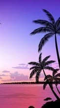 New 480x800 mobile wallpapers Landscape, Sunset, Palms, Drawings free download.