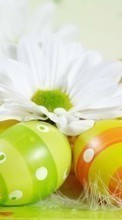 New mobile wallpapers - free download. Easter,Holidays picture and image for mobile phones.