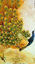 Animals, Birds, Drawings, Peacocks for Sony Ericsson K790