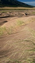 New mobile wallpapers - free download. Landscape, Sand, Desert, Grass picture and image for mobile phones.