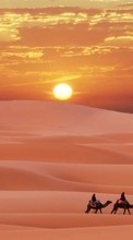 New mobile wallpapers - free download. Landscape, Sand, Desert, Camels, Sunset picture and image for mobile phones.