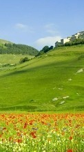 New mobile wallpapers - free download. Landscape, Fields picture and image for mobile phones.
