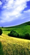 New mobile wallpapers - free download. Landscape,Fields picture and image for mobile phones.