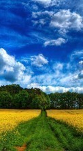 New mobile wallpapers - free download. Landscape,Fields,Nature picture and image for mobile phones.