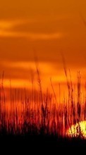 New mobile wallpapers - free download. Landscape, Fields, Grass, Sunset picture and image for mobile phones.