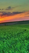 New mobile wallpapers - free download. Landscape,Fields,Sunset picture and image for mobile phones.