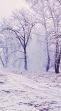 Landscape,Nature,Winter for BlackBerry Curve 9360