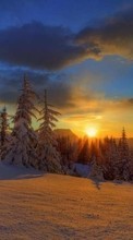 New mobile wallpapers - free download. Landscape,Nature,Winter picture and image for mobile phones.