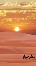 New mobile wallpapers - free download. Landscape,Desert,Camels picture and image for mobile phones.