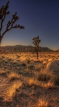Landscape, Desert, Sunset for HTC Desire S