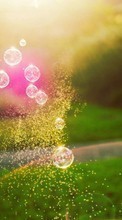 New mobile wallpapers - free download. Landscape, Bubbles, Sun, Grass picture and image for mobile phones.