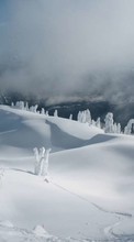 New 240x320 mobile wallpapers Landscape, Winter, Snow free download.