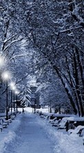 New 1024x768 mobile wallpapers Landscape, Snow, Winter free download.
