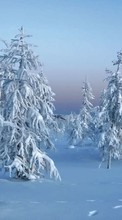 New mobile wallpapers - free download. Landscape,Snow,Winter picture and image for mobile phones.