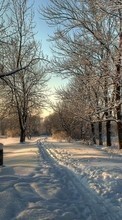 Landscape,Snow,Winter for Samsung C3510
