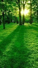 New mobile wallpapers - free download. Landscape,Sun,Grass picture and image for mobile phones.