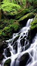 New 320x480 mobile wallpapers Landscape, Water, Waterfalls free download.
