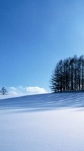 New mobile wallpapers - free download. Landscape, Winter picture and image for mobile phones.