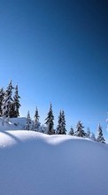 New mobile wallpapers - free download. Landscape,Winter picture and image for mobile phones.