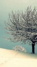 Landscape,Winter for Samsung J700