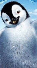 New mobile wallpapers - free download. Pinguins,Pictures,Animals picture and image for mobile phones.