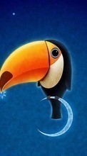 New mobile wallpapers - free download. Birds, Pictures, Toucans picture and image for mobile phones.