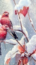 New mobile wallpapers - free download. Animals, Winter, Birds, Snow, Drawings picture and image for mobile phones.