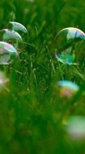 New mobile wallpapers - free download. Bubbles, Plants, Grass picture and image for mobile phones.