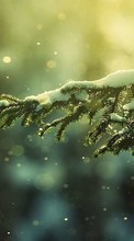 Plants,Snow for Samsung Galaxy On7
